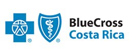 Logo BLUECROSS