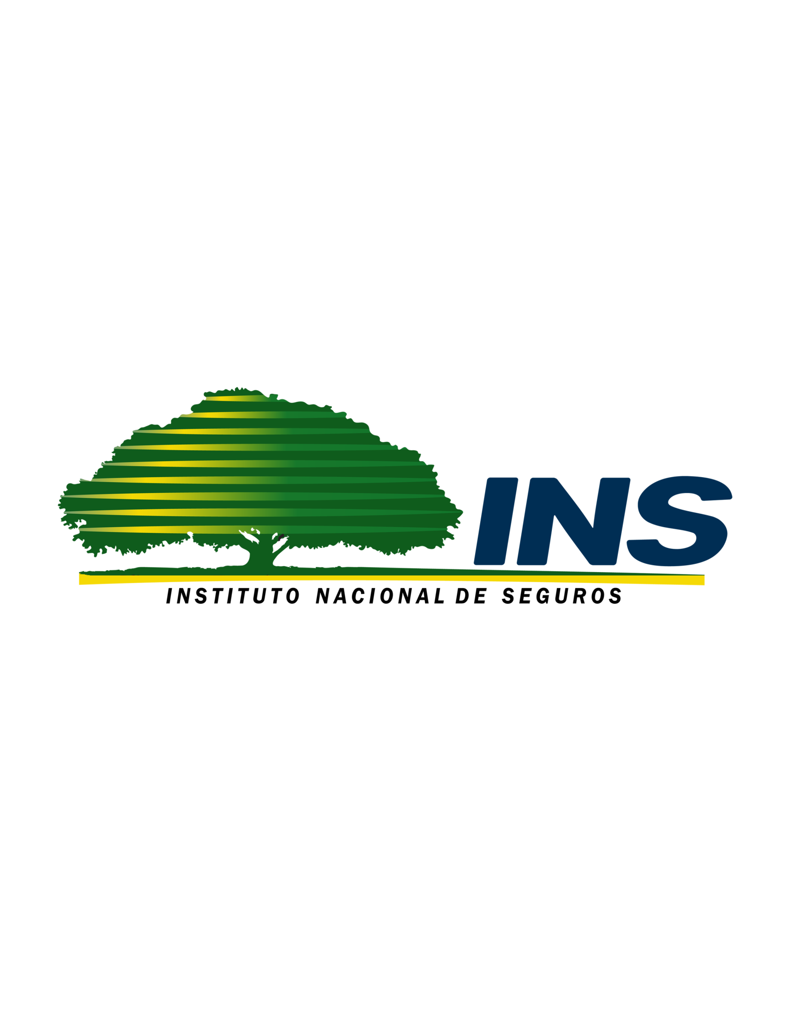 Instituto Nacional de Seguros